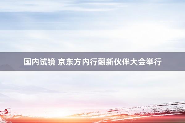 国内试镜 京东方内行翻新伙伴大会举行