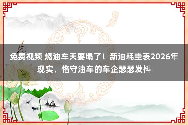 免费视频 燃油车天要塌了！新油耗圭表2026年现实，恪守油车的车企瑟瑟发抖