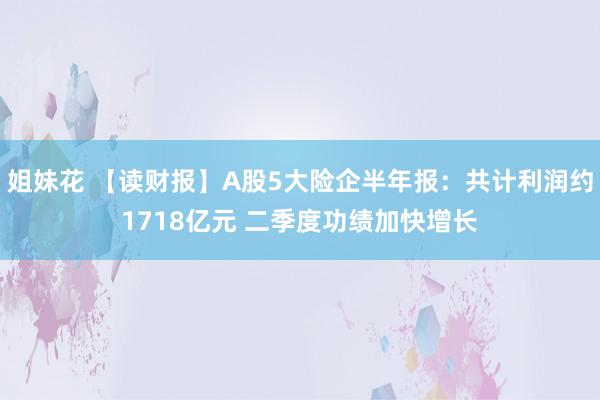 姐妹花 【读财报】A股5大险企半年报：共计利润约1718亿元 二季度功绩加快增长