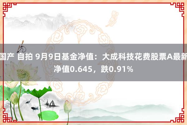 国产 自拍 9月9日基金净值：大成科技花费股票A最新净值0.645，跌0.91%