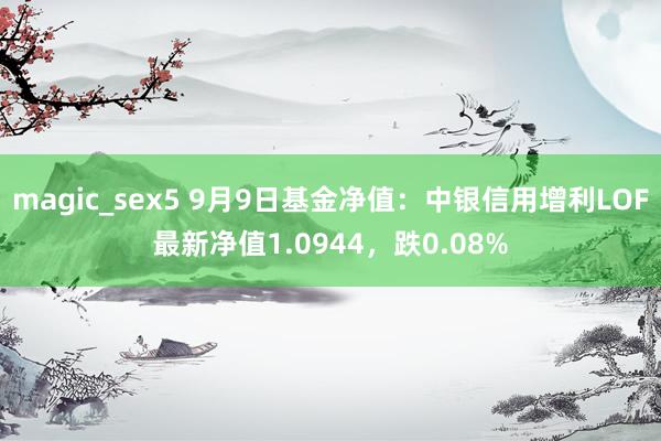 magic_sex5 9月9日基金净值：中银信用增利LOF最新净值1.0944，跌0.08%