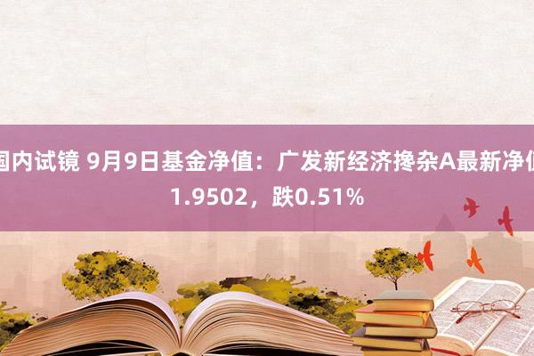 国内试镜 9月9日基金净值：广发新经济搀杂A最新净值1.9502，跌0.51%