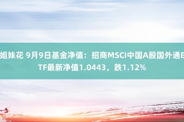 姐妹花 9月9日基金净值：招商MSCI中国A股国外通ETF最新净值1.0443，跌1.12%