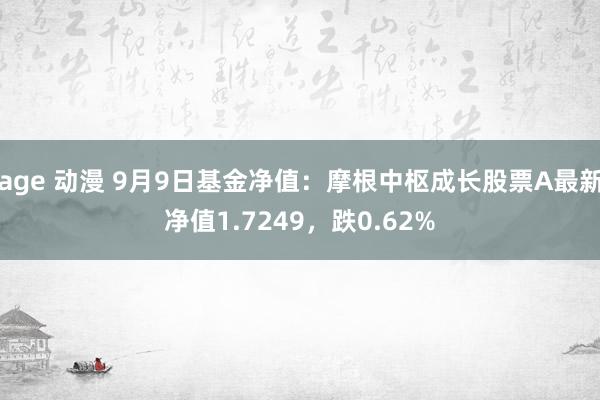 age 动漫 9月9日基金净值：摩根中枢成长股票A最新净值1.7249，跌0.62%