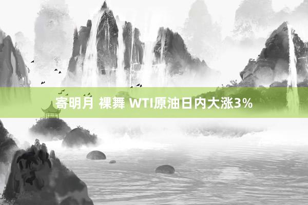 寄明月 裸舞 WTI原油日内大涨3%