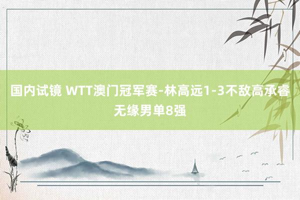 国内试镜 WTT澳门冠军赛-林高远1-3不敌高承睿无缘男单8强