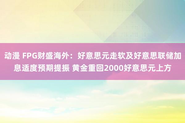 动漫 FPG财盛海外：好意思元走软及好意思联储加息适度预期提振 黄金重回2000好意思元上方