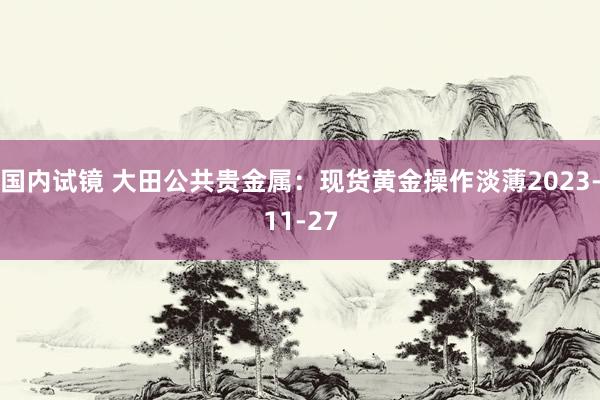 国内试镜 大田公共贵金属：现货黄金操作淡薄2023-11-27