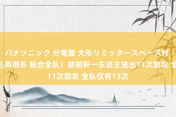 パナソニック 分電盤 大形リミッタースペース付 露出・半埋込両用形 粘合全队！胡明轩一东谈主送出11次助攻 全队仅有13次