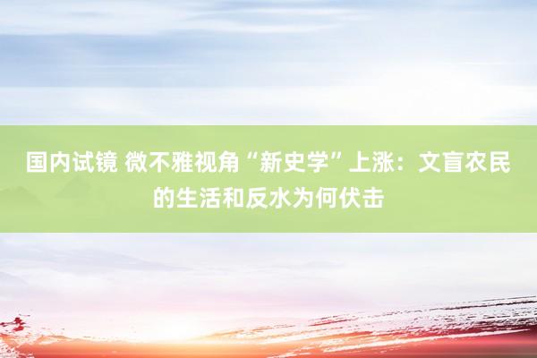 国内试镜 微不雅视角“新史学”上涨：文盲农民的生活和反水为何伏击