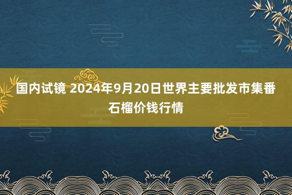 国内试镜 2024年9月20日世界主要批发市集番石榴价钱行情