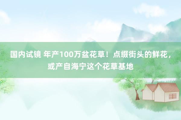 国内试镜 年产100万盆花草！点缀街头的鲜花，或产自海宁这个花草基地