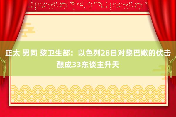 正太 男同 黎卫生部：以色列28日对黎巴嫩的伏击酿成33东谈主升天