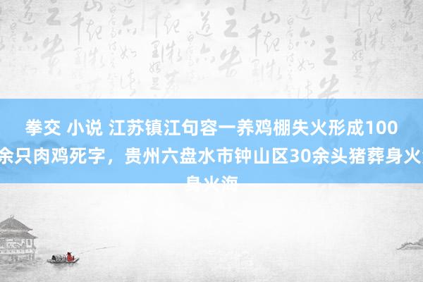 拳交 小说 江苏镇江句容一养鸡棚失火形成1000余只肉鸡死字，贵州六盘水市钟山区30余头猪葬身火海