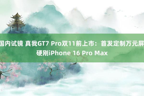 国内试镜 真我GT7 Pro双11前上市：首发定制万元屏 硬刚iPhone 16 Pro Max