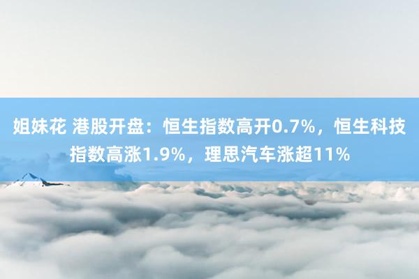 姐妹花 港股开盘：恒生指数高开0.7%，恒生科技指数高涨1.9%，理思汽车涨超11%