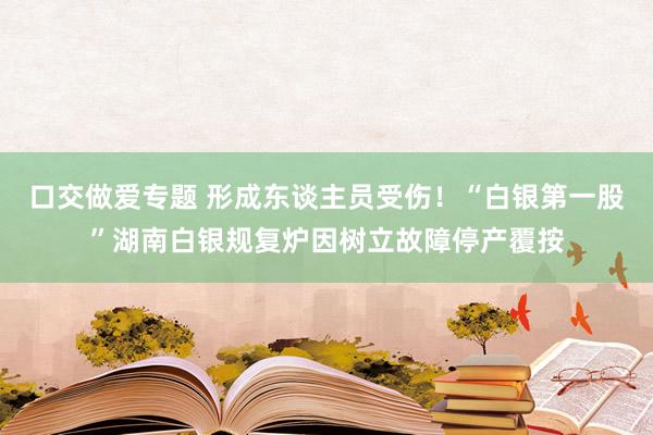 口交做爱专题 形成东谈主员受伤！“白银第一股”湖南白银规复炉因树立故障停产覆按