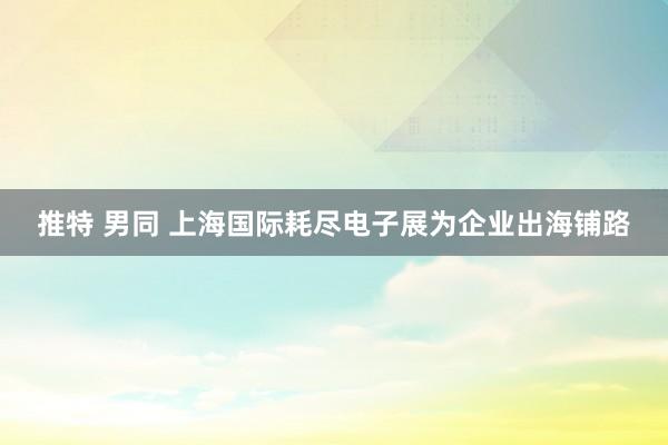 推特 男同 上海国际耗尽电子展为企业出海铺路