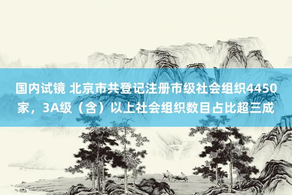 国内试镜 北京市共登记注册市级社会组织4450家，3A级（含）以上社会组织数目占比超三成