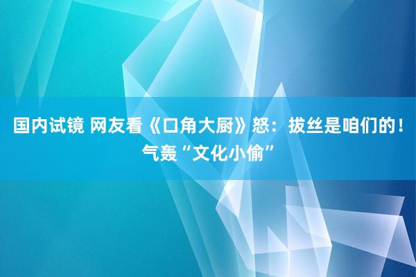 国内试镜 网友看《口角大厨》怒：拔丝是咱们的！气轰“文化小偷”