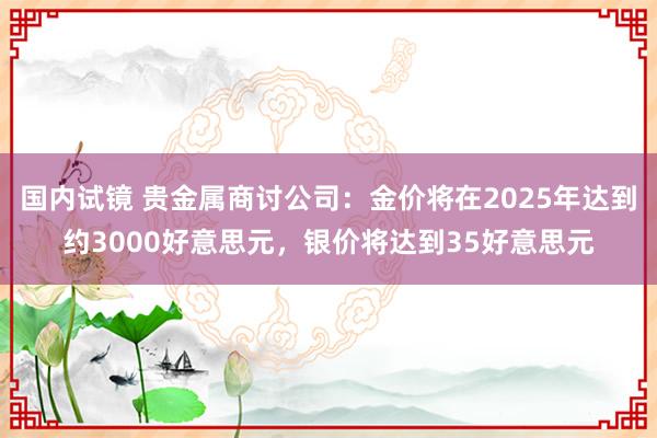 国内试镜 贵金属商讨公司：金价将在2025年达到约3000好意思元，银价将达到35好意思元