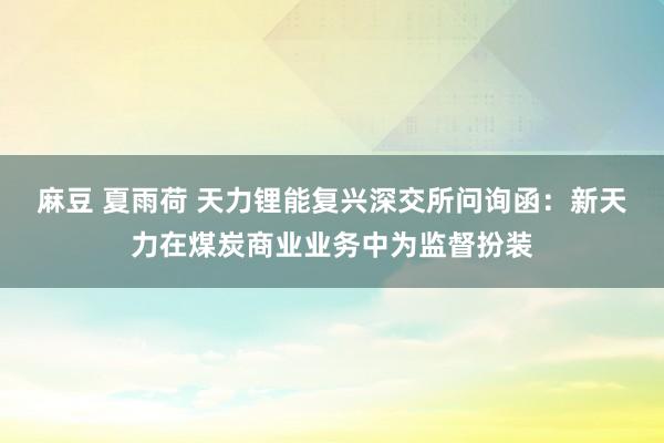 麻豆 夏雨荷 天力锂能复兴深交所问询函：新天力在煤炭商业业务中为监督扮装