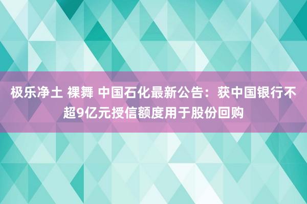 极乐净土 裸舞 中国石化最新公告：获中国银行不超9亿元授信额度用于股份回购