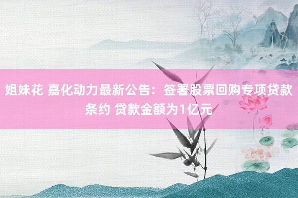 姐妹花 嘉化动力最新公告：签署股票回购专项贷款条约 贷款金额为1亿元