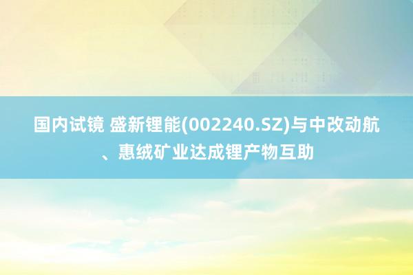 国内试镜 盛新锂能(002240.SZ)与中改动航、惠绒矿业达成锂产物互助