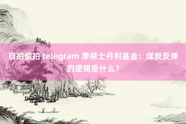 自拍偷拍 telegram 摩根士丹利基金：煤炭反弹的逻辑是什么？