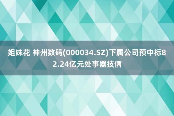 姐妹花 神州数码(000034.SZ)下属公司预中标82.24亿元处事器技俩