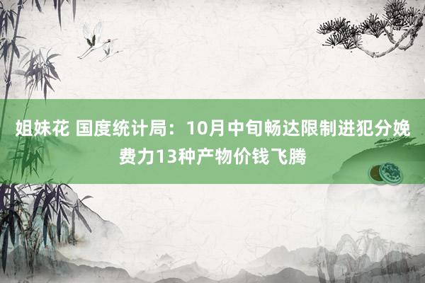 姐妹花 国度统计局：10月中旬畅达限制进犯分娩费力13种产物价钱飞腾