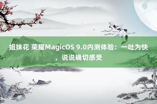 姐妹花 荣耀MagicOS 9.0内测体验：一吐为快，说说确切感受