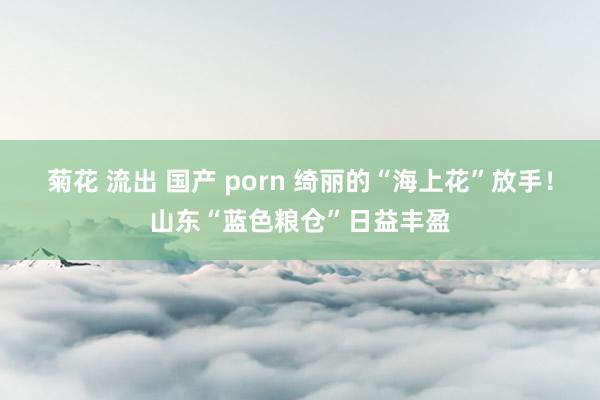 菊花 流出 国产 porn 绮丽的“海上花”放手！山东“蓝色粮仓”日益丰盈