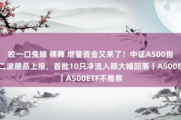 咬一口兔娘 裸舞 增量资金又来了！中证A500指数迎来第二波居品上报，首批10只净流入额大幅回落丨A500ETF不雅察