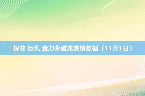 探花 巨乳 金力永磁龙虎榜数据（11月1日）