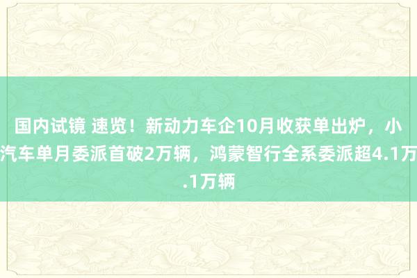 国内试镜 速览！新动力车企10月收获单出炉，小米汽车单月委派首破2万辆，鸿蒙智行全系委派超4.1万辆