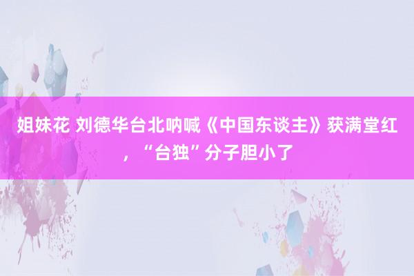 姐妹花 刘德华台北呐喊《中国东谈主》获满堂红，“台独”分子胆小了