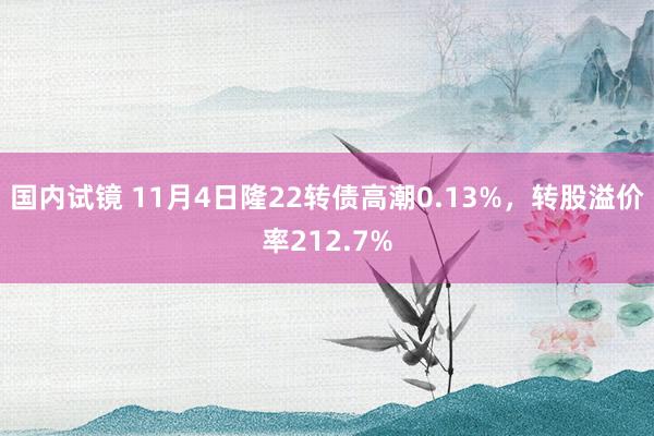 国内试镜 11月4日隆22转债高潮0.13%，转股溢价率212.7%