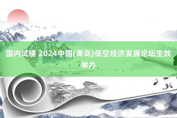 国内试镜 2024中国(青岛)低空经济发展论坛生效举办