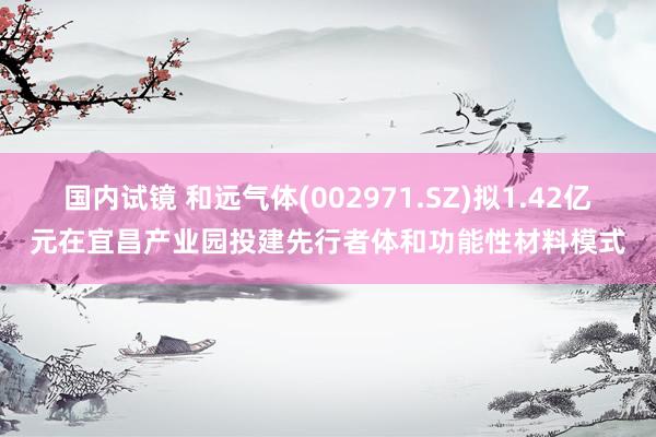 国内试镜 和远气体(002971.SZ)拟1.42亿元在宜昌产业园投建先行者体和功能性材料模式