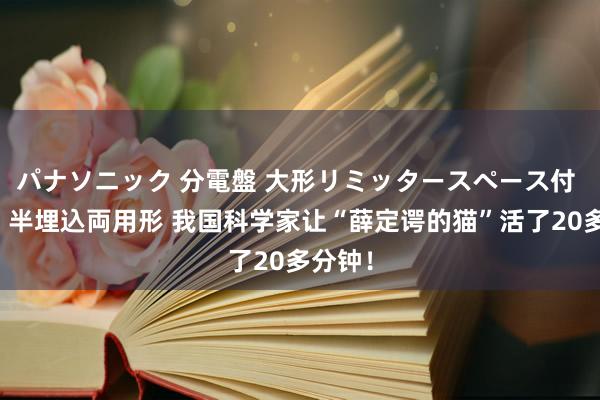 パナソニック 分電盤 大形リミッタースペース付 露出・半埋込両用形 我国科学家让“薛定谔的猫”活了20多分钟！