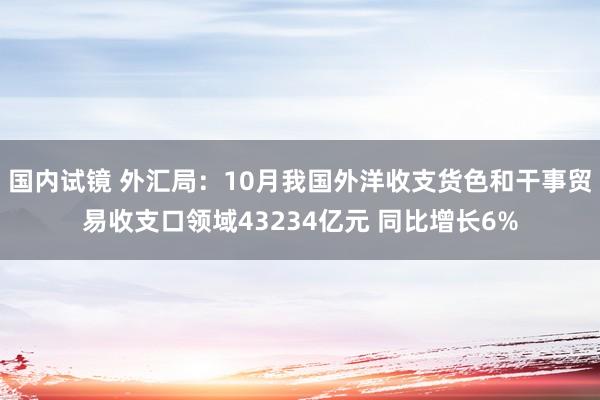 国内试镜 外汇局：10月我国外洋收支货色和干事贸易收支口领域43234亿元 同比增长6%