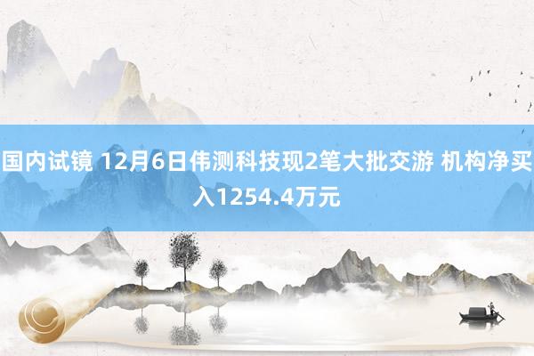 国内试镜 12月6日伟测科技现2笔大批交游 机构净买入1254.4万元