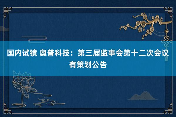 国内试镜 奥普科技：第三届监事会第十二次会议有策划公告