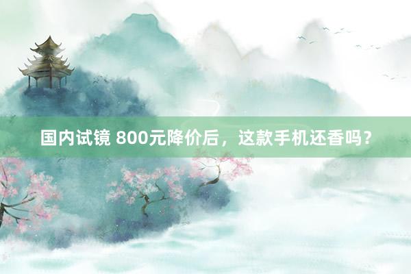 国内试镜 800元降价后，这款手机还香吗？