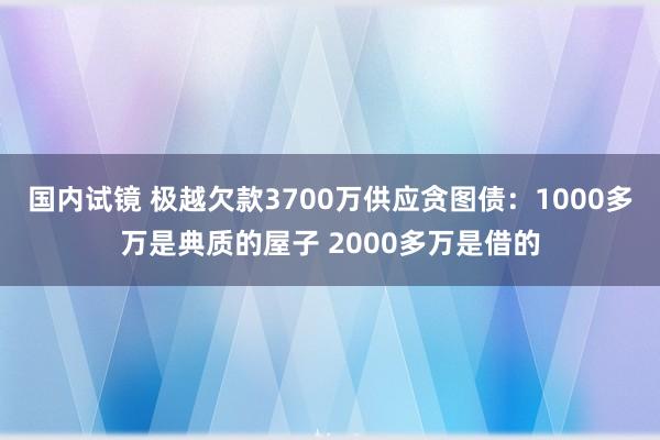 国内试镜 极越欠款3700万供应贪图债：1000多万是典质的屋子 2000多万是借的