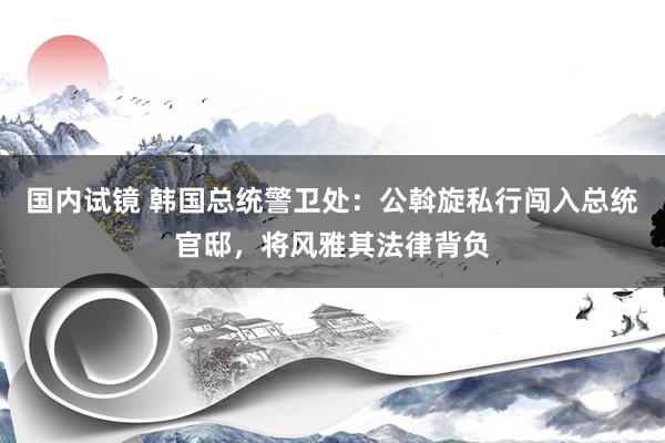 国内试镜 韩国总统警卫处：公斡旋私行闯入总统官邸，将风雅其法律背负