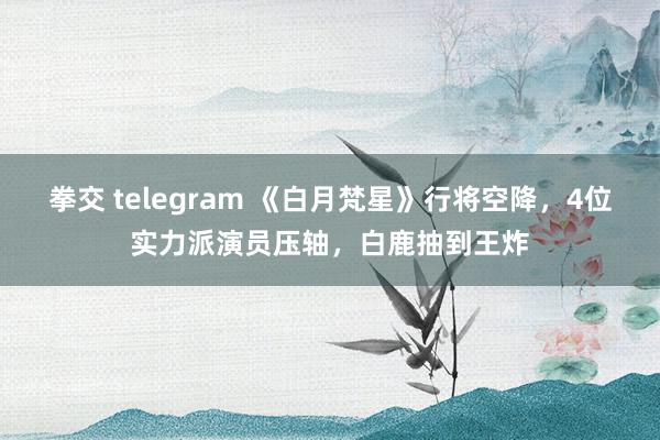 拳交 telegram 《白月梵星》行将空降，4位实力派演员压轴，白鹿抽到王炸