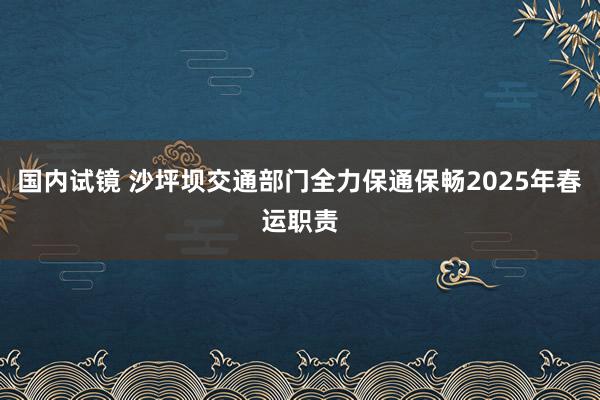 国内试镜 沙坪坝交通部门全力保通保畅2025年春运职责